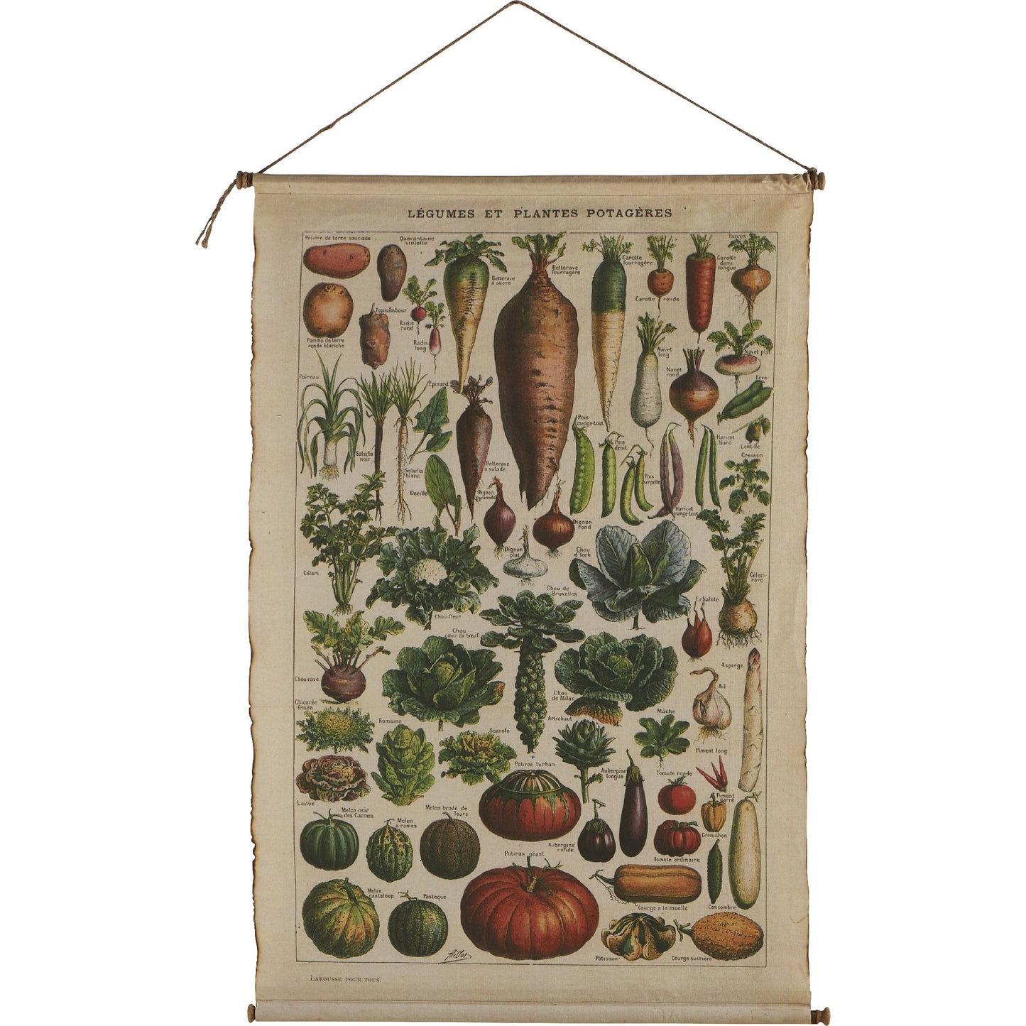 Toile Botanique 92x137cm