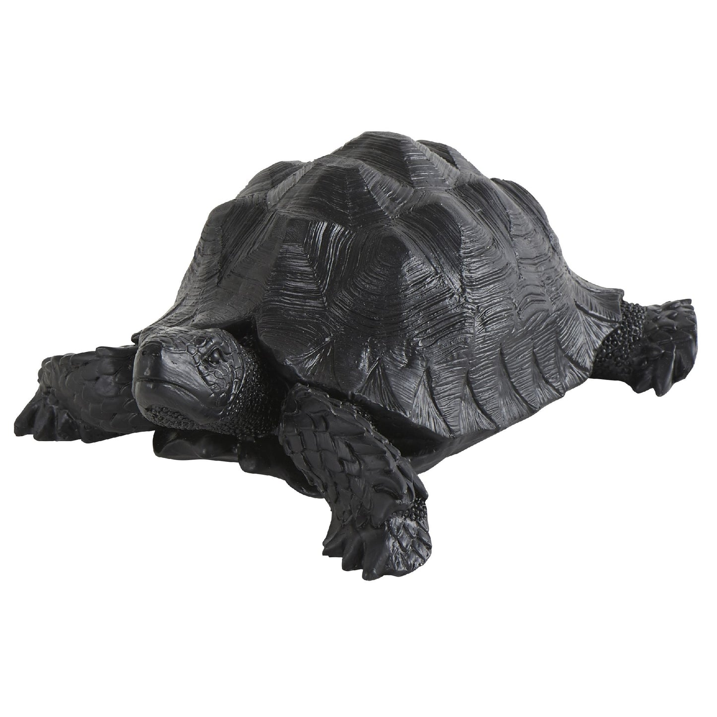 Tortue Noire 26x19,5xH11cm